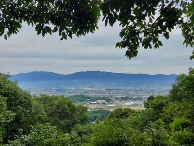 奈良県*橿原*