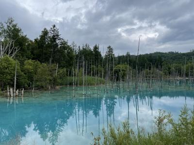 2021 子連れ 北海道旅行記　富良野　美瑛　②　青い池　望岳台　ファーム富田　ホテル一花