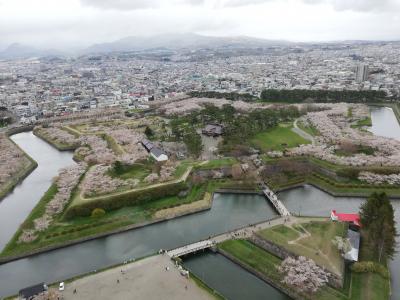 たまにはベタな観光旅行2105　「函館（元町・五稜郭）＆トラピスト修道院＆いかめし＆いかそうめん＆やきとり弁当＆ラッキーピエロ」　～北海道～