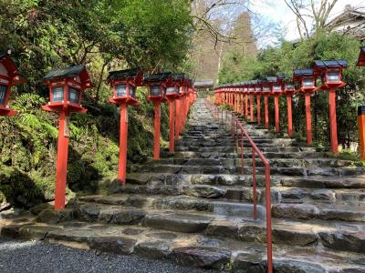 宇治、南禅寺、貴船。絶景かな、、の旅