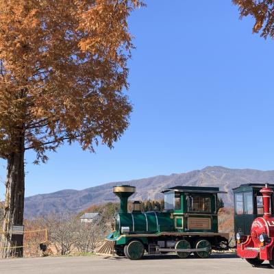 飛騨高山子連れ旅♪ 2020.11　goto利用