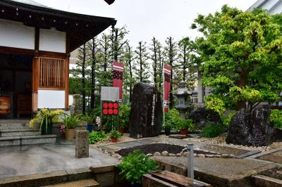 大阪府：三津寺砦、真田丸出城、大坂城、難波宮、高槻城、岡ミサンザイ古墳城等（その1）