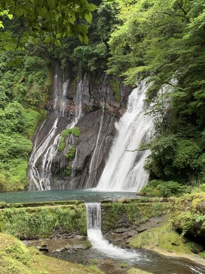 ANAトクたびマイル熊本　フリューゲル久住　黒川温泉旅館山河　湯の宿入船！①