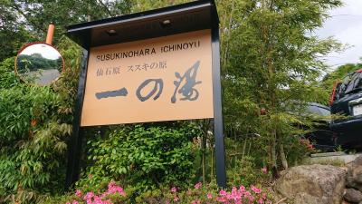 温泉付き客室 一の湯ススキの原