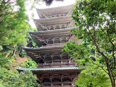 腰越漁港(鎌倉市)にて朝どれサバの天ぷら１パックを買って小動神社と五重塔へ
