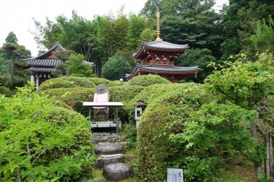 20210626-3 桜井 桜井駅から大神神社まで、山の辺の道を歩く