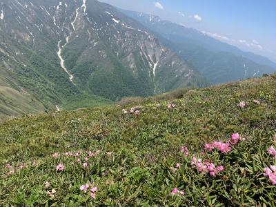 奥多摩探検隊、谷川岳主稜縦走の旅！《稜線上の花畑とうどんすき編》