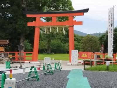 レンタサイクルで行く京都市内郵便局巡りと北野天満宮・上賀茂神社の旅