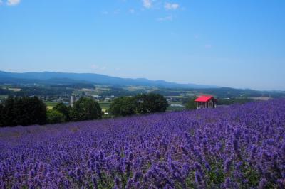 真夏の日曜日、花と山を見に行こう！　in　上富良野町