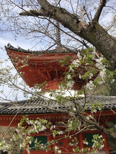 紀三井寺参拝：名水100選、日本さくら名所100選の寺。和歌の浦の眺めが美しい寺