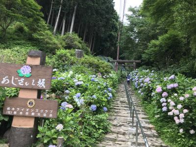 栃木　あじさい祭り　大平山神社