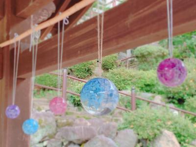 青もみじと苔の魅力にようやく気付いた2021年☆ 新緑を求めて週末旅 in 奈良編