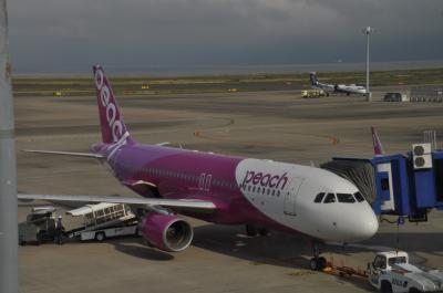 2021年6月北海道鉄道旅行2（ピーチ461便で新千歳空港へ）