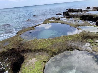 鹿児島&amp;奄美大島ワーケーション　14日間②