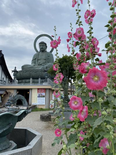 富山で遊ぶ（氷見、高岡）