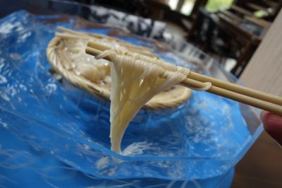 20210626-5 桜井 大神神社からの帰り道、三輪素麺食べてくかなと、乾製麺所の流し素麺。