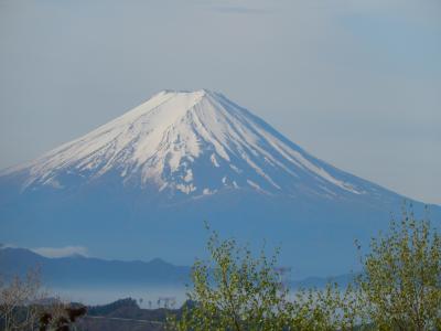 とても綺麗な富士山が見えて大満足でした！　　　　　　　NO2