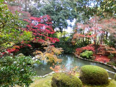 京都 山科 小野 隨心院境内(Zuishin-in Temple, Ono, Yamashina, Kyoto, JP)