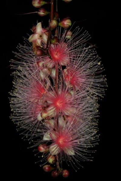 不要不急の外出は控えてください? 嫌です。 というか、私は違います。