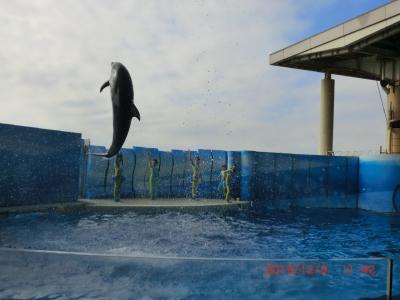 新江の島水族館＆江の島の旅