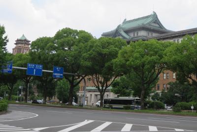 2021初夏、護国神社と名古屋城跡のアジサイ(6/6)：外堀通り、アジサイ並木、県庁と市庁
