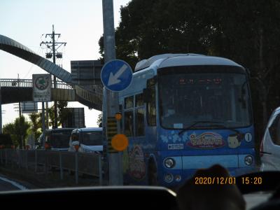 工事その10東海市　太田川での楽しみ　２０１２０１火曜