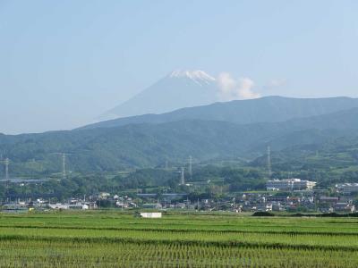 自転車でGO!早朝バージョン =沼津へポタリング(2)= 2021.06.15