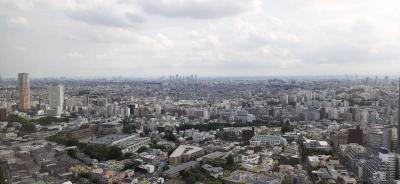 海外行けないから都内のラウンジ行ってみた-1