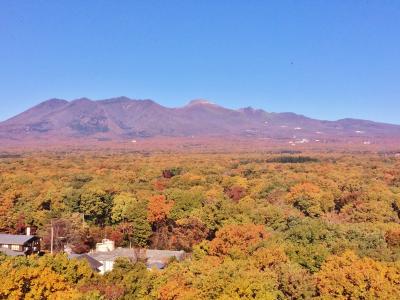 紅葉狩り子連れ家族旅行