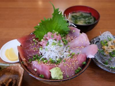 高コスパと噂の『みさきまぐろきっぷ』の実力！城ヶ島贅沢まぐろ丼ひとり旅