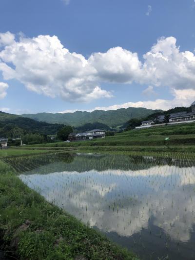 飛鳥サイクリング