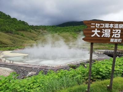 たまにはベタな観光旅行2106　「ウトナイ湖＆登別温泉＆地球岬＆ニセコ＆二股ラジウム温泉＆江差＆室蘭カレーラーメン＆にしんそば」　～北海道～