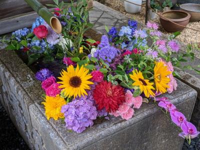 花手水を撮影しに京都へ①/③勝林寺