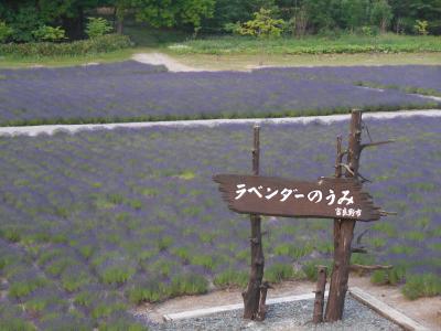 富良野時間