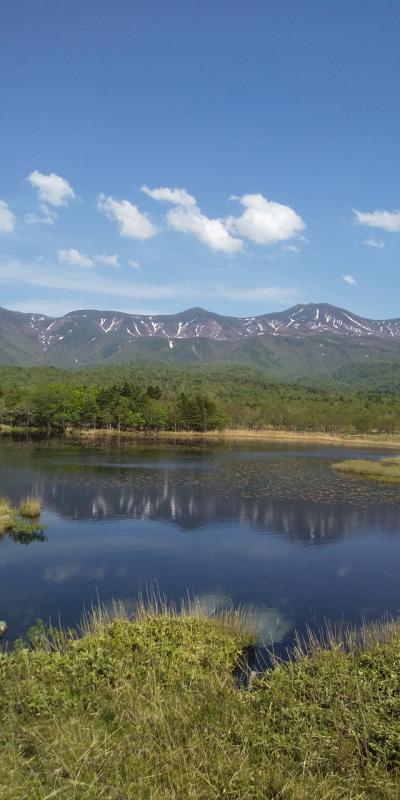 東北海道　結婚40年記念旅行