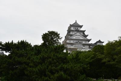 国宝、世界遺産の姫路城北側は博物館や美術館が集まっています