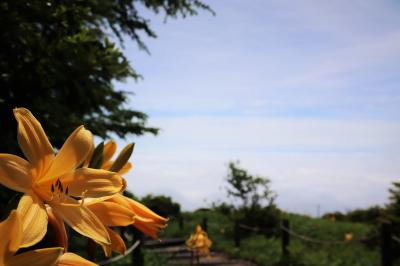山の景色　2021年7月　日光霧降
