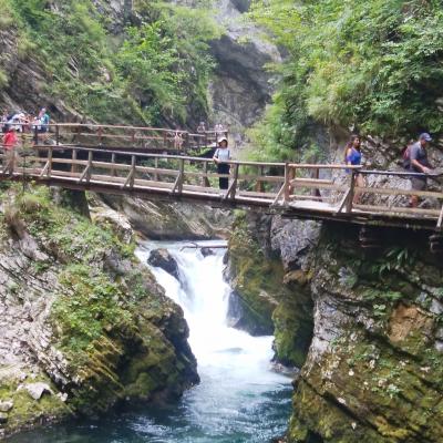 4日目：ヴィントガル渓谷の下流口から上流へ向かって遊歩道を散策