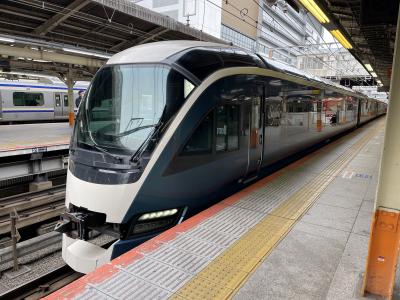 河津温泉郷 今井浜 グルメ に関する旅行記 ブログ フォートラベル 静岡県
