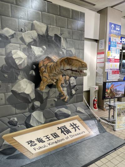 ひこの日帰り弾丸トラベラー ! (金沢編～金沢駅、近江町市場、兼六園、21世紀美術館など。)