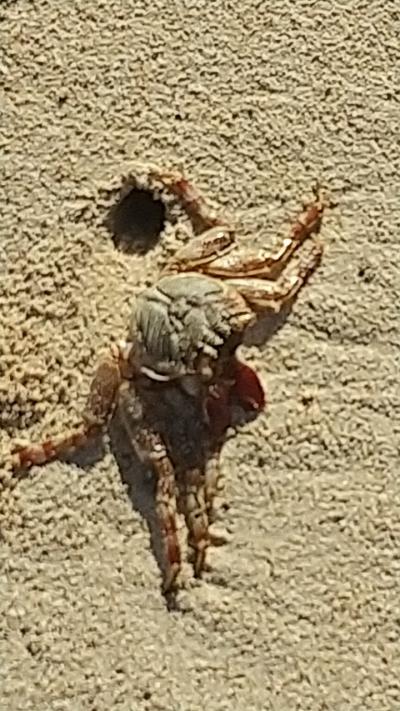 そーっと密かに、ぼっち旅 in宮古島