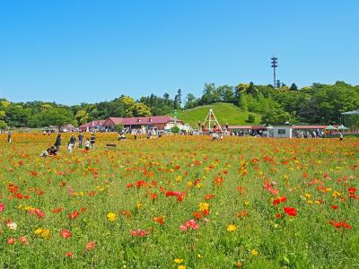 東京ドイツ村でのんびり♪