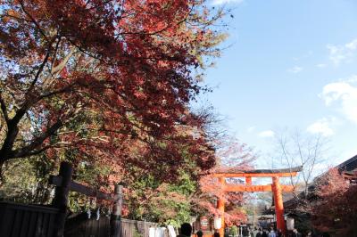 コロナの紅葉の京都