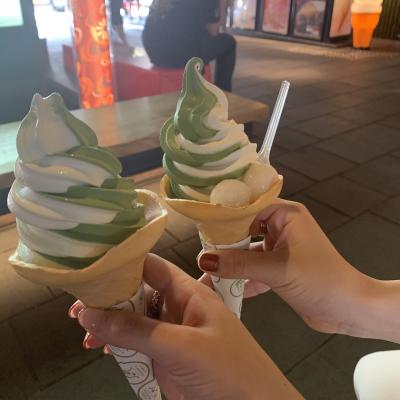 【京都3泊4日✳︎女子旅】ザ・サウザンドキョウトホテル②京都観光編