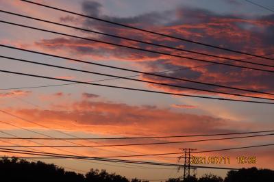 久し振りに見られた美しい夕焼け