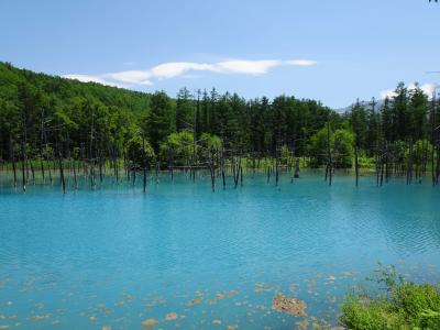 2021北海道 美瑛・富良野、千歳3泊の旅（ラビスタ富良野＆ANA千歳泊）1日目後編 [青い池～ラビスタ富良野]