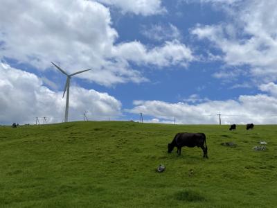 サイクリング(^^♪　四国カルスト