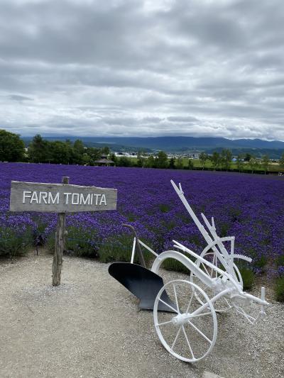 ラベンダー咲く北海道旅行