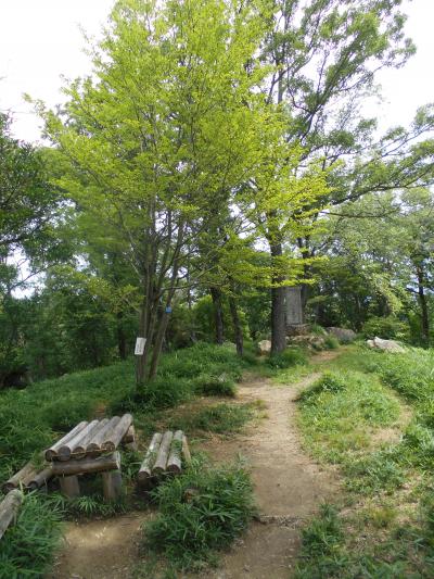 茨木市北部の鉢伏山