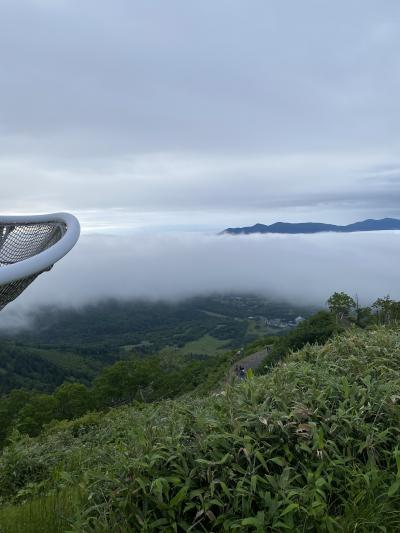2021年7月　北海道【１】　星野リゾートトマム　ザ・タワー宿泊と雲海テラス